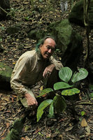 Patrick Blanc and the smallish Dracaena phrynioides,  Campo, Cameroun, March 2017