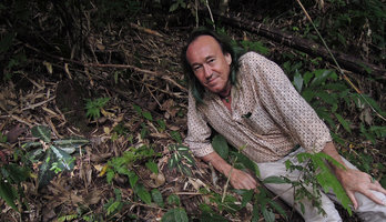 Patrick Blanc and two understory  species with silvery central banded leaves, Acrotrema costatum and Sonerila griffithii, Ranong,Thailand, Dec 2015