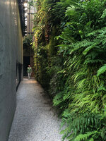 Patrick Blanc arriving in the Canyon at Il Sereno, Como Lake, Italy, June 2021