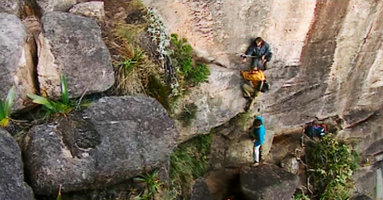 Patrick Blanc ascending a vertical cliff to reach the summit of the Kukenan Tepui, Venezuela, March 1999