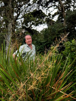 Patrick Blanc at forest edge, behind tussocks of Garnotia exaristata with old dry inflorescences, Horton Plains, Sri Lanka, Nov. 2024