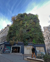 Patrick Blanc at Oasis d&#039;Aboukir in winter, Paris, Feb. 2023