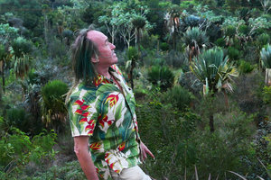 Patrick Blanc at sunset above a population of Copernicia rigida, Moa, Cuba, Feb.2017