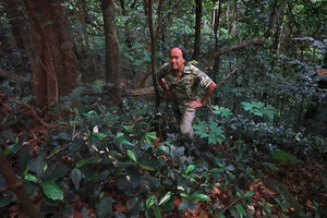 Patrick Blanc at sunset, observing the dense population of an herbaceous Dorstenia in front of Anchomanes abbreviatus leaves, Sanje waterfall, Udzungwa NP, Tanzania, Jan. 2021