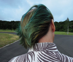 Patrick Blanc at the Auckland Botanical Garden, New Zealand, Dec 2012