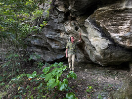 Patrick Blanc at the base of a big karst boulder maintening humidity to a dense population of Proiphys amboinensis  during the dry season, South Western base of Mt Mundo Perdido, Timor-Leste, Aug. 2026
