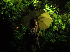 Patrick Blanc at the base of a limestone cliff at night, Krabi, Thailand, Oct 2014