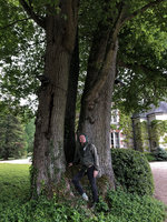 Patrick Blanc at the base of a multi trunked oak, Onzain, France, May 2019