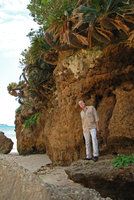 Patrick Blanc at the base of a sea shore limestone cliff habitat of Cycas revoluta, Okinawa, Japan, April 2012