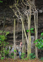 Patrick Blanc at the base of a seemingly upside down rooted Ficus due to anastomosing roots, Kaua&#039;i, Hawai&#039;i, Jan. 2008