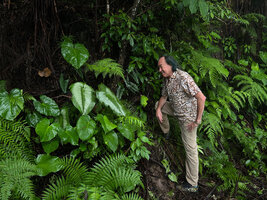 Patrick Blanc at the base of a vertical bank covered with Schismatoglottis plurivenia, Homalomena philippinensis, Alocasia heterophylla and ferns, Balinsasayao Twin Lakes, Negros Oriental, Philippines, Jan. 2025