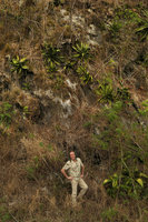 Patrick Blanc at the base of a vertical cliff covered by Agave, Cienfuegos, Cuba, Feb.2017