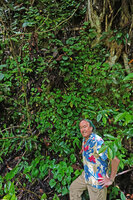 Patrick Blanc at the base of a vertical karst covered with Begonia cf. muricata, Lisabata, Saleman, Seram, April 2024