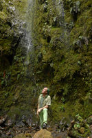 Patrick Blanc at the base of a waterfall, a natural mossy and ferny vertical garden, Chicaque, Soacha, Colombia, Oct. 2016