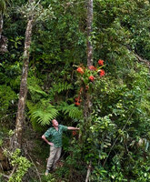 Patrick Blanc at the base of Begonia oxysperma, a climbing epiphyte at 1700 m asl, Banaue, Luzon, Philippines, April 2026