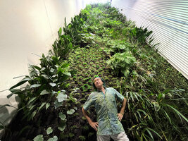 Patrick Blanc at the base of his 14 years old vertical garden in private house, Istanbul, Sept. 2021