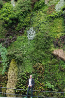 Patrick Blanc at the base of his Vertical Garden, Caixa Forum, Madrid, April 2010