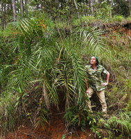 Patrick Blanc at the base of the stemless flowering Phoenix loureiroi growing on a steep slope, Hang Cop Waterfall, Dalat, Vietnam, Nov. 2019