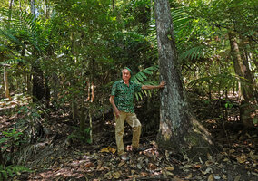 Patrick Blanc at the base of the tree fern, Sphaeropteris intermedia, the stipe being thickened like a tree trunk due to the numerous adventitious roots, Parc des Grandes Fougères, New Caledonia, Aug. 2023