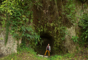 Patrick Blanc at the entrance of a limestone cave covered by different Ficus, Schefflera, Nephrolepis and other ferns, Bukittinggi, West Sumatra, Dec. 2016
