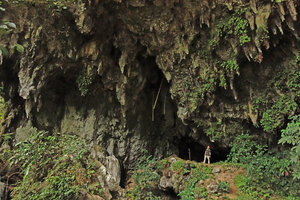 Patrick Blanc at the entrance of the Fairy cave covered by Begonia, Gesneriads and other saxicolous species, Bau, Sarawak, Borneo