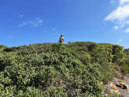 Patrick Blanc at the top of a hill covered by low shrubby vegetation on the Black Sea shore, Uzunya beach, Istanbul, Sept. 2021