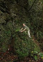 Patrick Blanc at the top of a limestone rock covered by mosses and an Elatostema population of silver and green individuals, together wit Begonia and ferns, Maros, South Sulawesi, June 2019