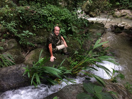 Patrick Blanc behind a clump of the rheophytic Dicranopygium sanctae-martae, Minca, Sierra Nevada de Santa Marta, Magdalena, Colombia, Nov. 2016