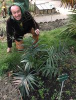 Patrick Blanc behind a flowering Chamaedorea radicalis, his gift to the Museum National d&#039;Histoire Naturelle, Paris, Dec. 2018