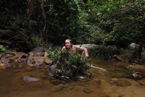 Patrick Blanc behind a population of the rheophytic fern Pronephrium salicifolium, Tioman, Malaysia, April 2015