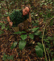 Patrick Blanc behind Dracaena phrynioides, Campo, Cameroon, March 2018
