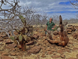 Patrick Blanc behind Opuntia galapageia var. zacana partly destroyed by the greedy iguanas, Seymour, Galapagos, Aug. 2021