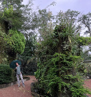 Patrick Blanc between his vertical gardens, Chaumont-sur-Loire, france, Sept. 2021
