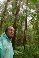 Patrick Blanc by a rainy day in front of the palm Veitchia simulans with almost ripe orange fruits, Des Voeux peak, Taveuni, Fiji, Aug. 2016