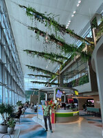 Patrick Blanc checking the growth of the hanging plants on the top blades of the gourmet garden at Changi T 2, Singapore, Sept. 2023
