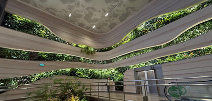Patrick Blanc checking the plant growth at immigration hall, Changi T2 airport, Singapore, April 2025