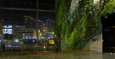 Patrick Blanc, city night illumination and Vertical Garden, Icon hotel, Hong Kong, Jan 2016