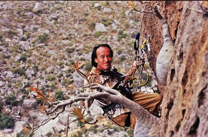 Patrick Blanc climbing along a vertical cliff to observe Dorstenia gigas, Socotra, March 2005
