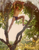 Patrick Blanc climbing in a tree, France, 1977