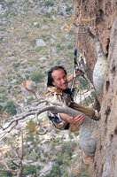 Patrick Blanc climbing to observe Dorstenia gigas in its vertical cliff habitat, Socotra, March 2005