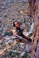 Patrick Blanc climbing to observe huge specimens of Dorstenia gigas in its vertical cliff habitat, Socotra, March 2005