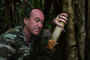 Patrick Blanc considering a young turgescent stilt root of Pandanus dubius with ramentose scaly root cap, Nggatirana, Halisi, Solomon Islands, Sept. 2019