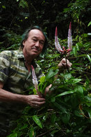 Patrick Blanc considering the bright erect inflorescences or Uraria picta, Cat Tien NP, Vietnam, Nov. 2019