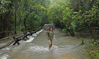 Patrick Blanc crossing an overflooded bridge, Cat Tien NP, Vietnam, Nov. 2019