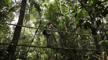 Patrick Blanc crossing an unpredictable bridge in riverine forest, Lagos de Menegua, Puerto Lopez, Meta, Colombia, Oct. 2016