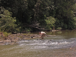 Patrick Blanc crossing a swift running river to observe a Phyllanthus watsonii population, Endau Rompin, Malaysia, April 2015
