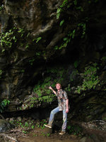 Patrick Blanc dans grotte Napali - Hawai&#039;i Jan 08