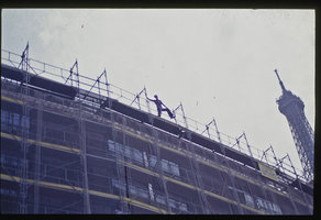 Patrick Blanc during the installation of the Quai Branly Museum Vertical Garden, July 2004