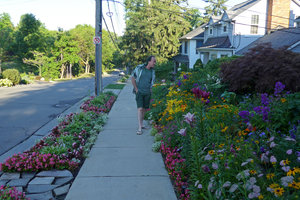 Patrick Blanc, early morning, looking at a colorful flowerbed, Birmingham, Michigan, July 2016