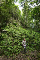 Patrick Blanc emerging from a dense population of Begonia sericoneura at the base of Maya ruins, Tikal, Guatemala, Jan. 2020